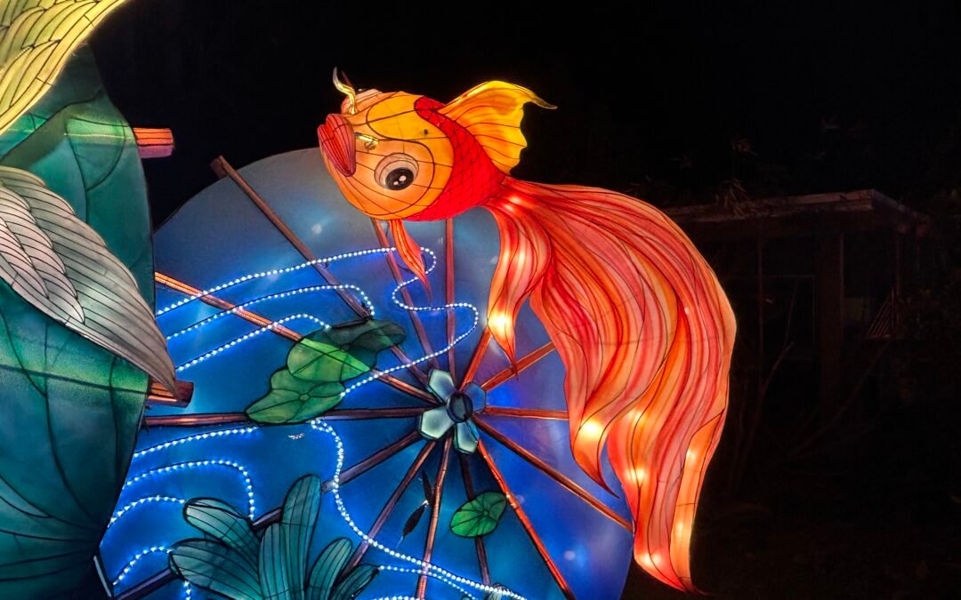 An Evening of Lights: Our Magical Visit to the Central Florida Zoo’s Asian Lantern Festival